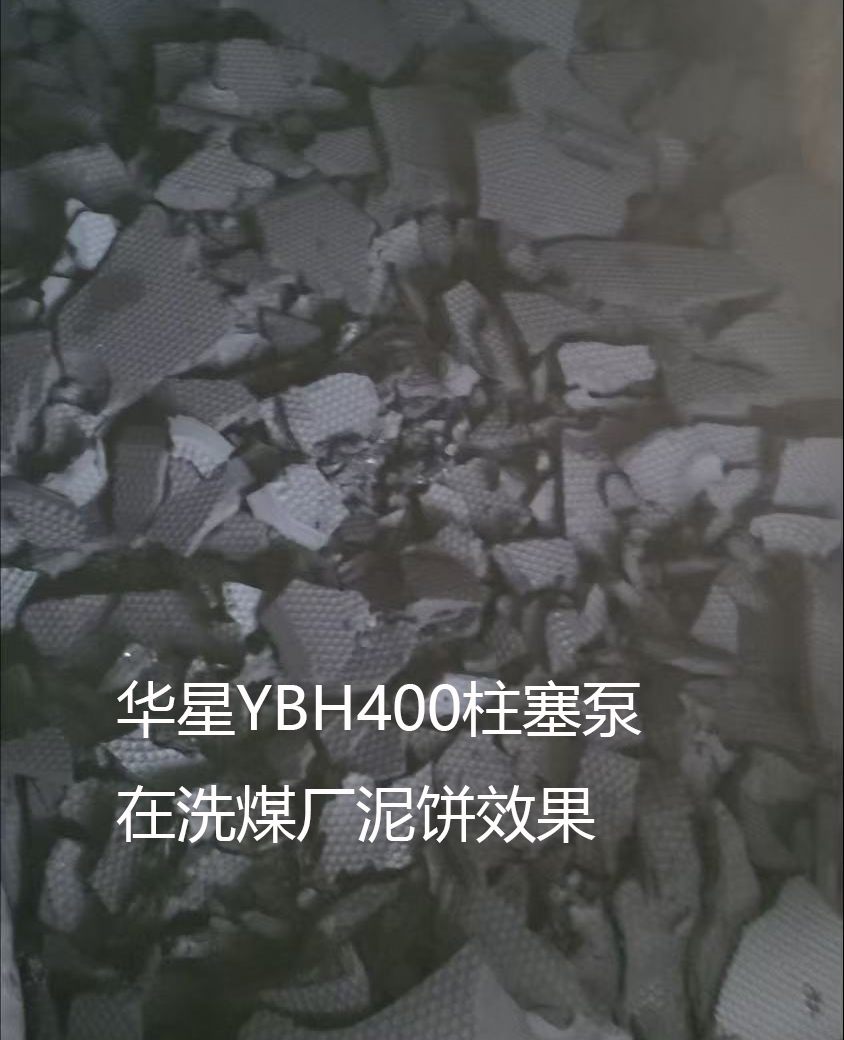 YBH400洗煤廠泥餅效果