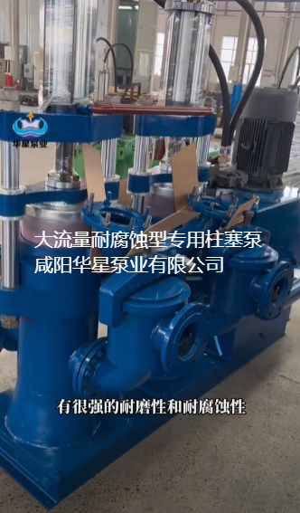 大流量耐腐蝕型專用柱塞泵