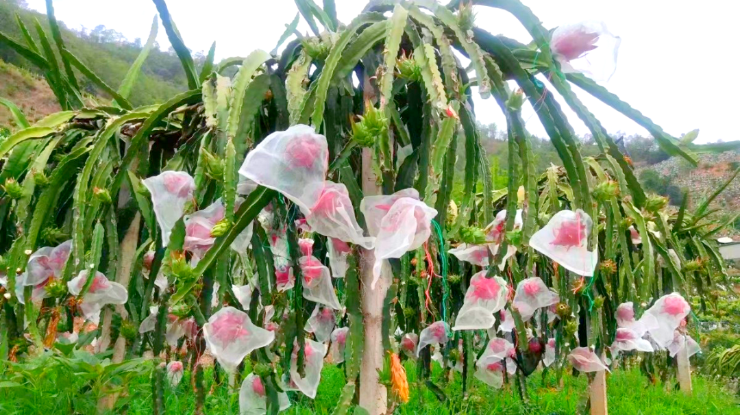 微信圖片_20241017105310