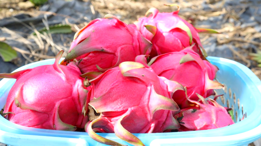 微信圖片_20241017105313