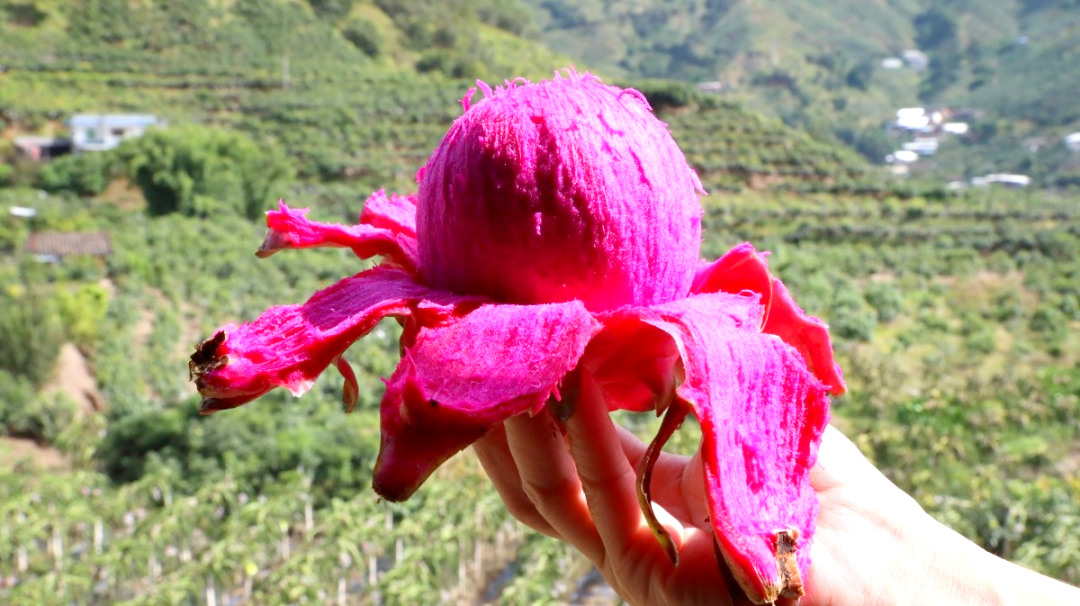 微信圖片_20241017105315