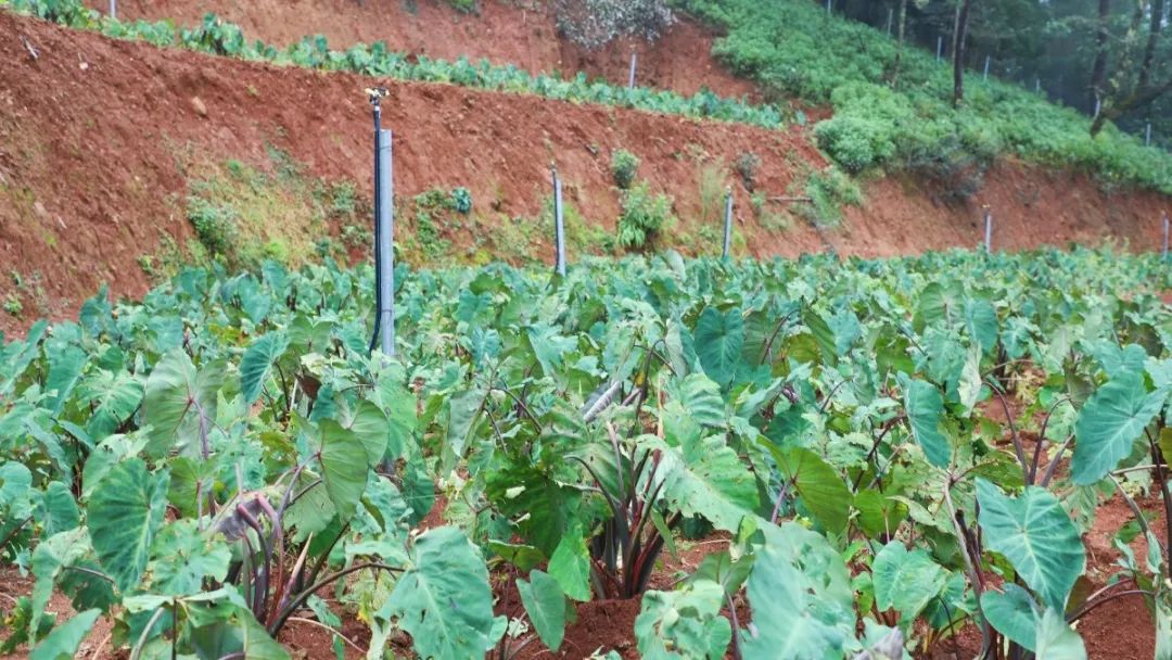 微信圖片_20241104110601