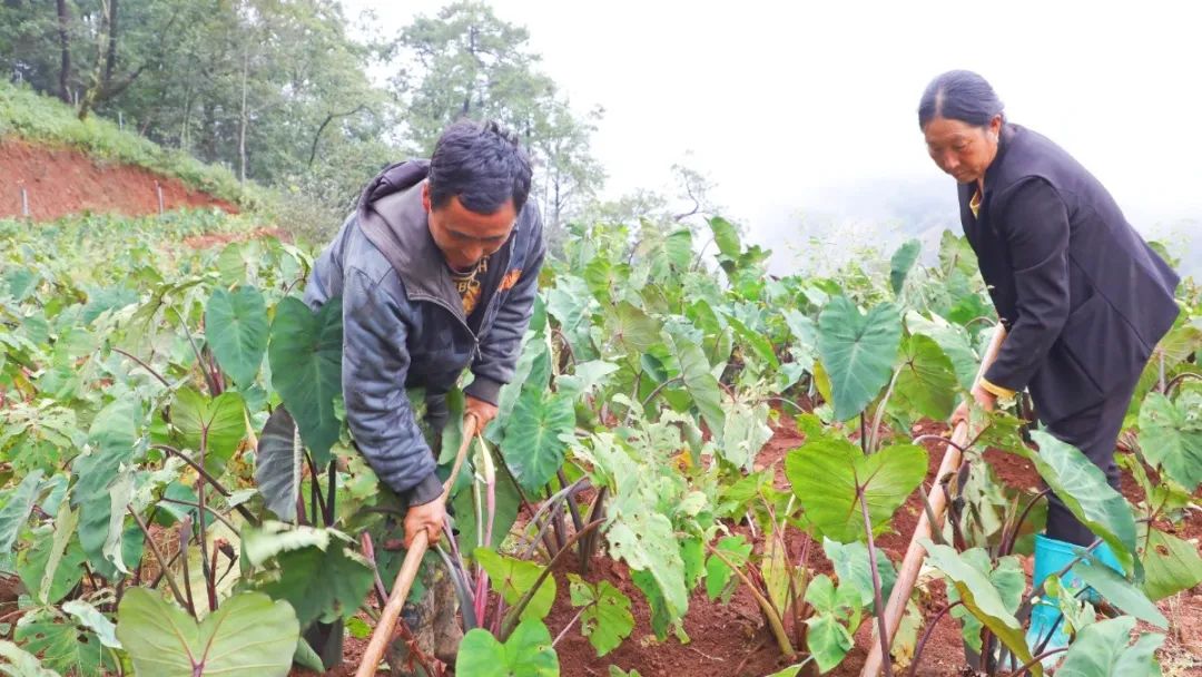 微信圖片_20241104110609