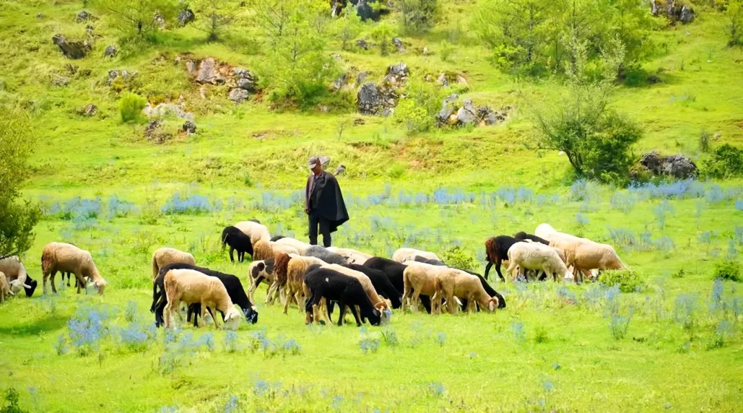 微信圖片_20241115113850