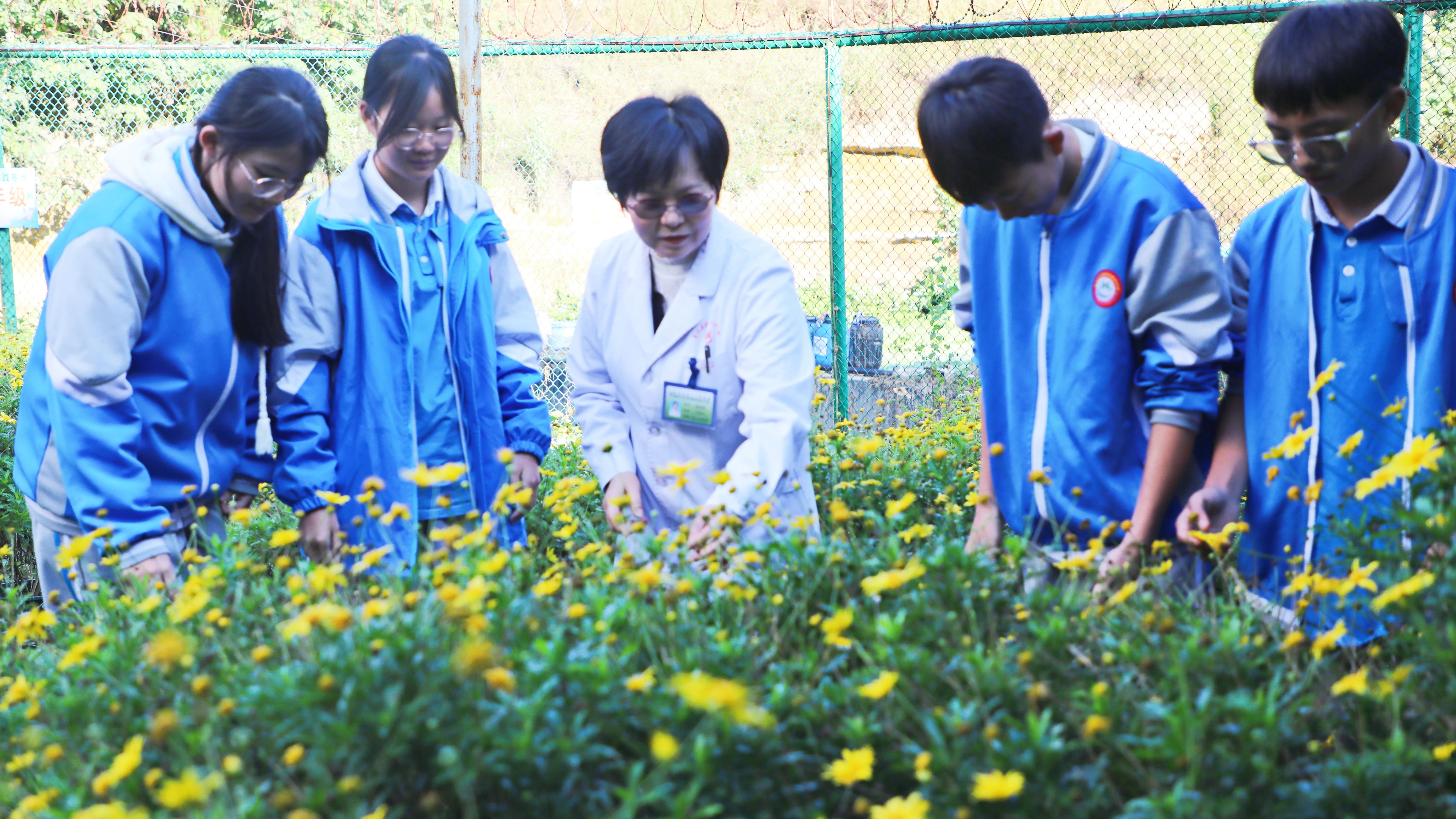 微信圖片_20241119150503