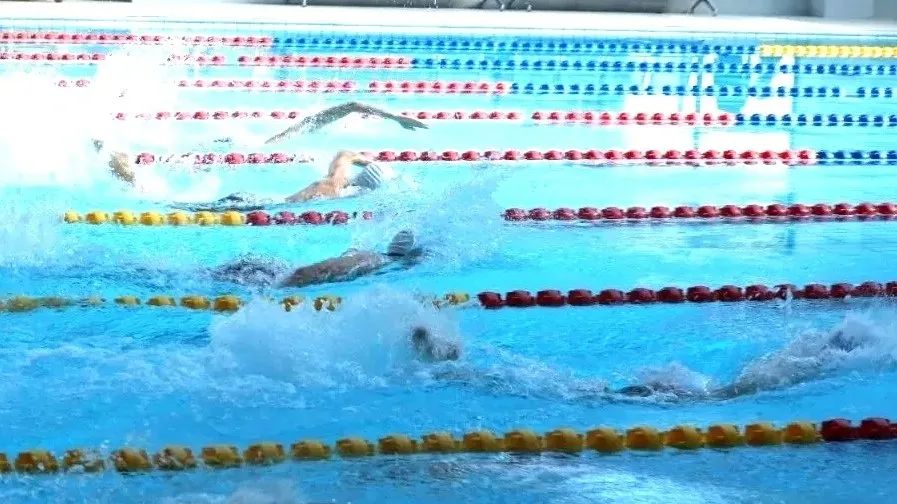 微信圖片_20241122230010