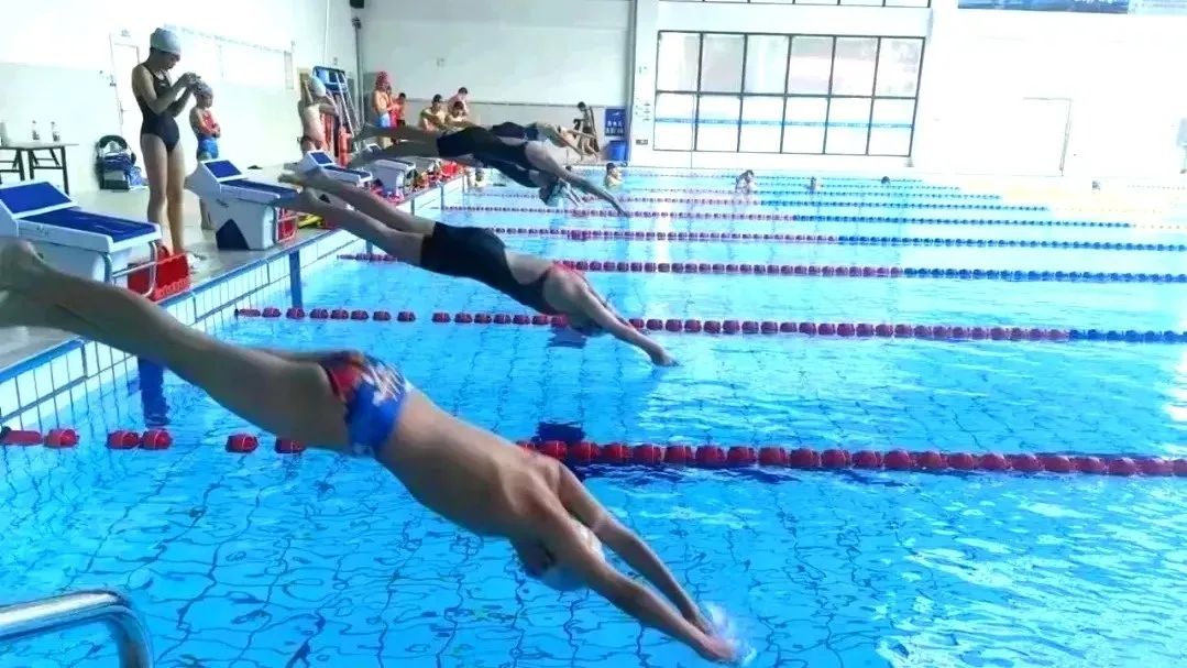 微信圖片_20241122230005