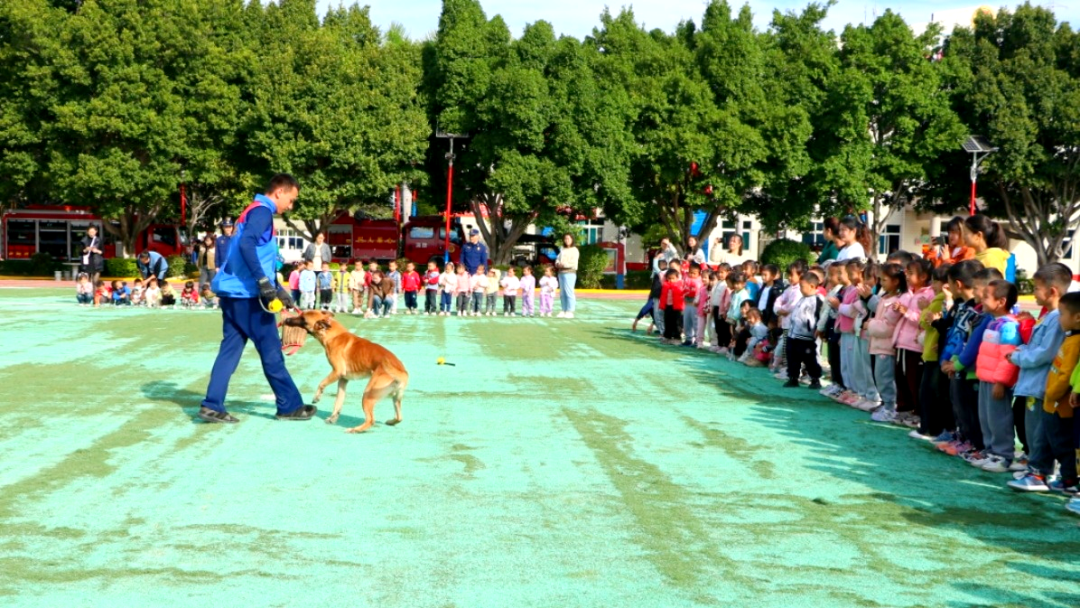 微信圖片_20241122230036