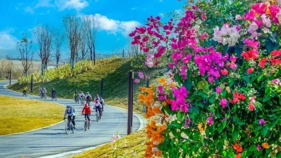 微信圖片_20241205213610