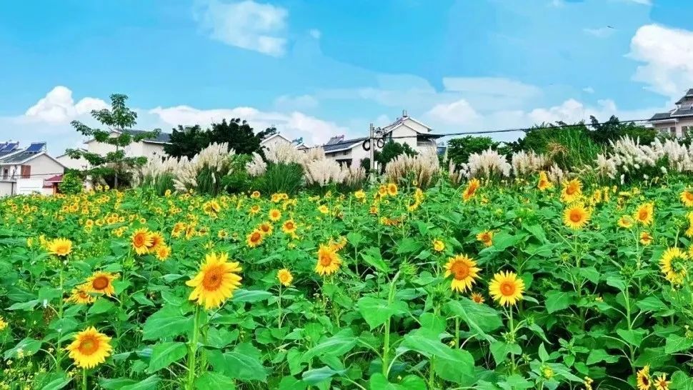 微信圖片_20241205213606