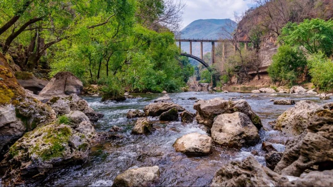 微信圖片_20241205213626