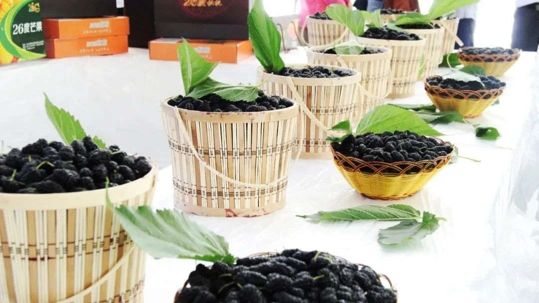 微信圖片_20241227192839