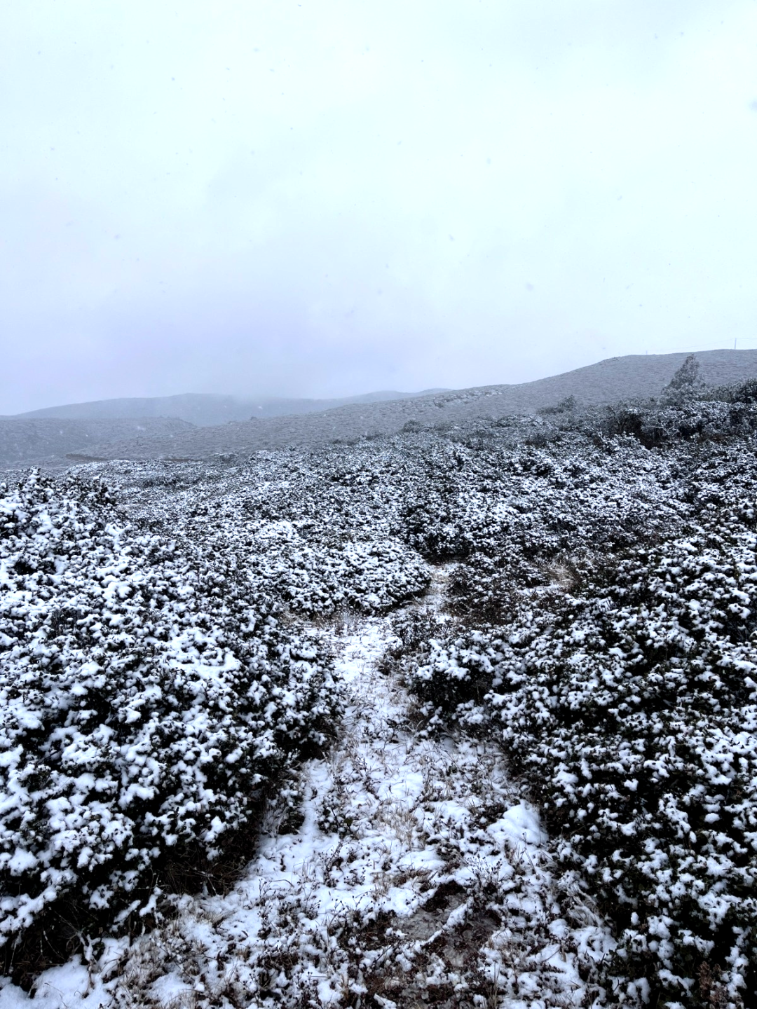 微信圖片_20250108195232