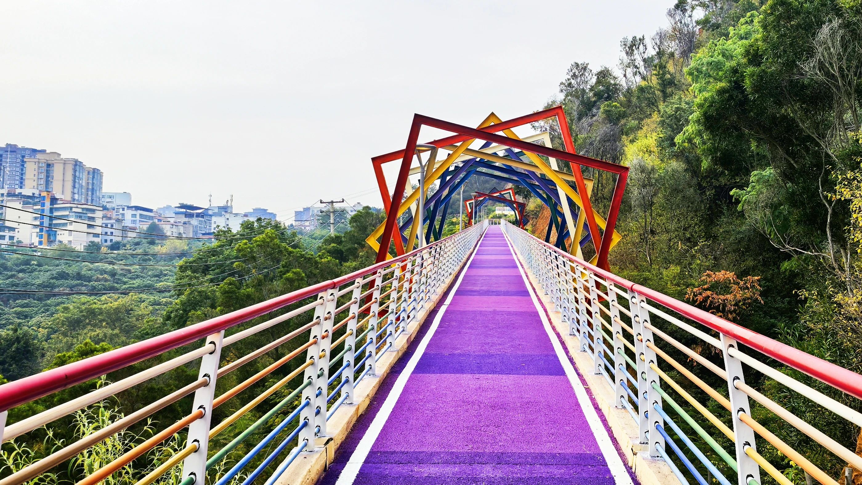 微信圖片_20250116101351