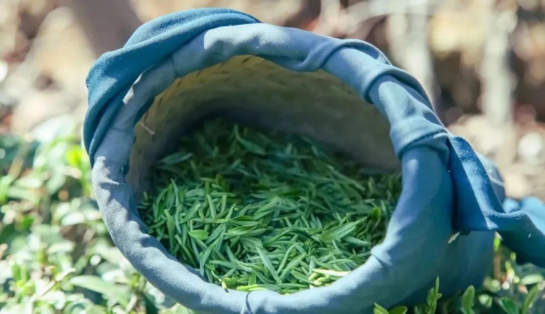 微信圖片_20250116101419