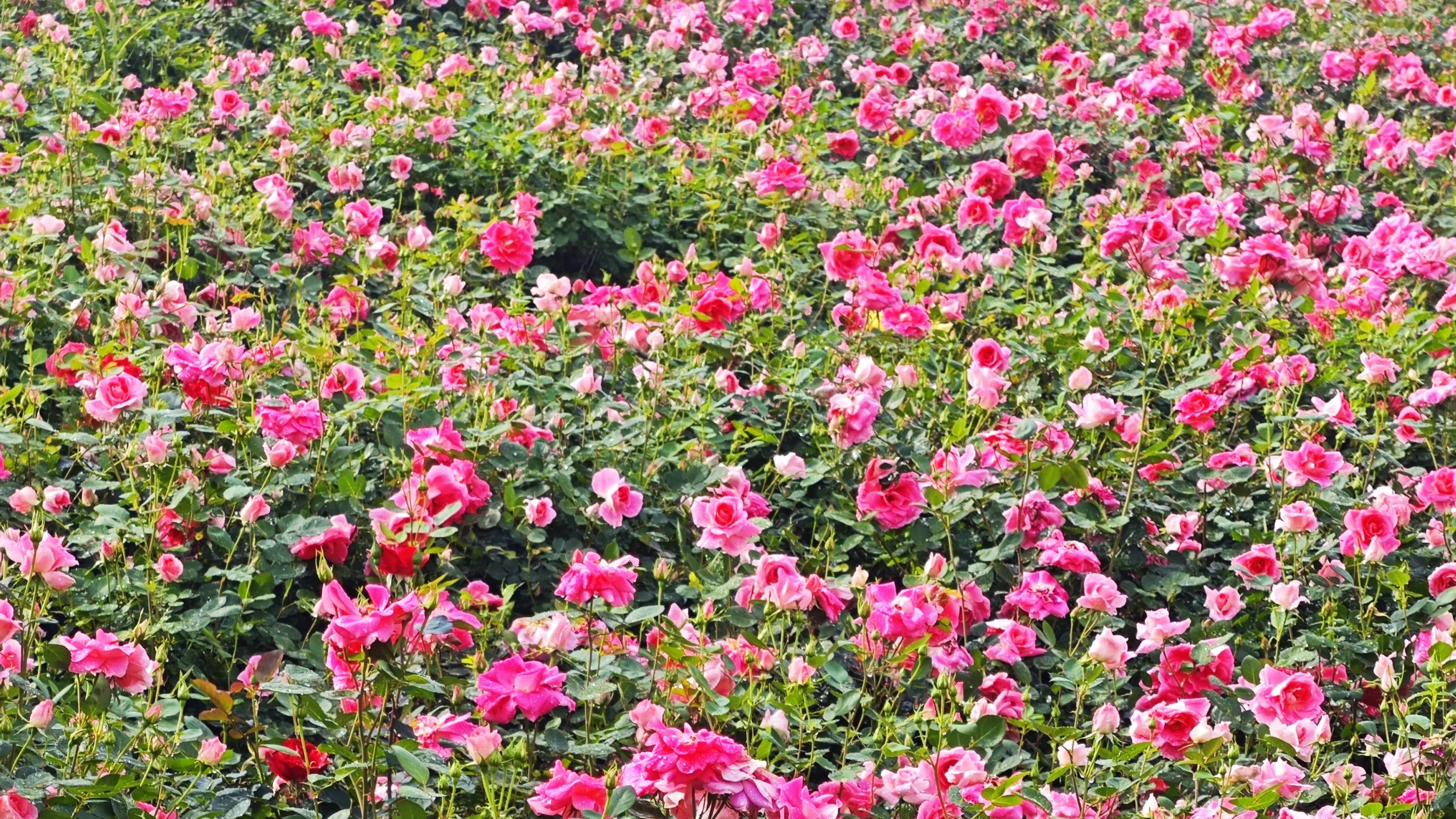 微信圖片_20250414100352