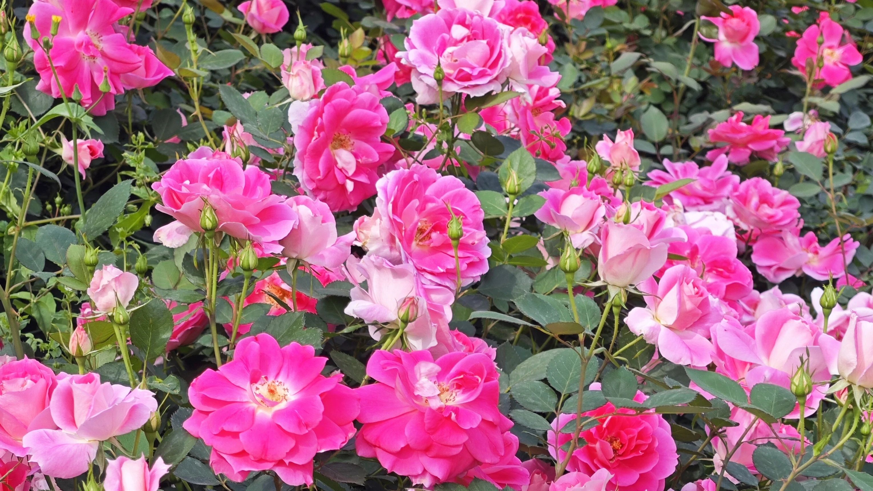 微信圖片_20250414100355