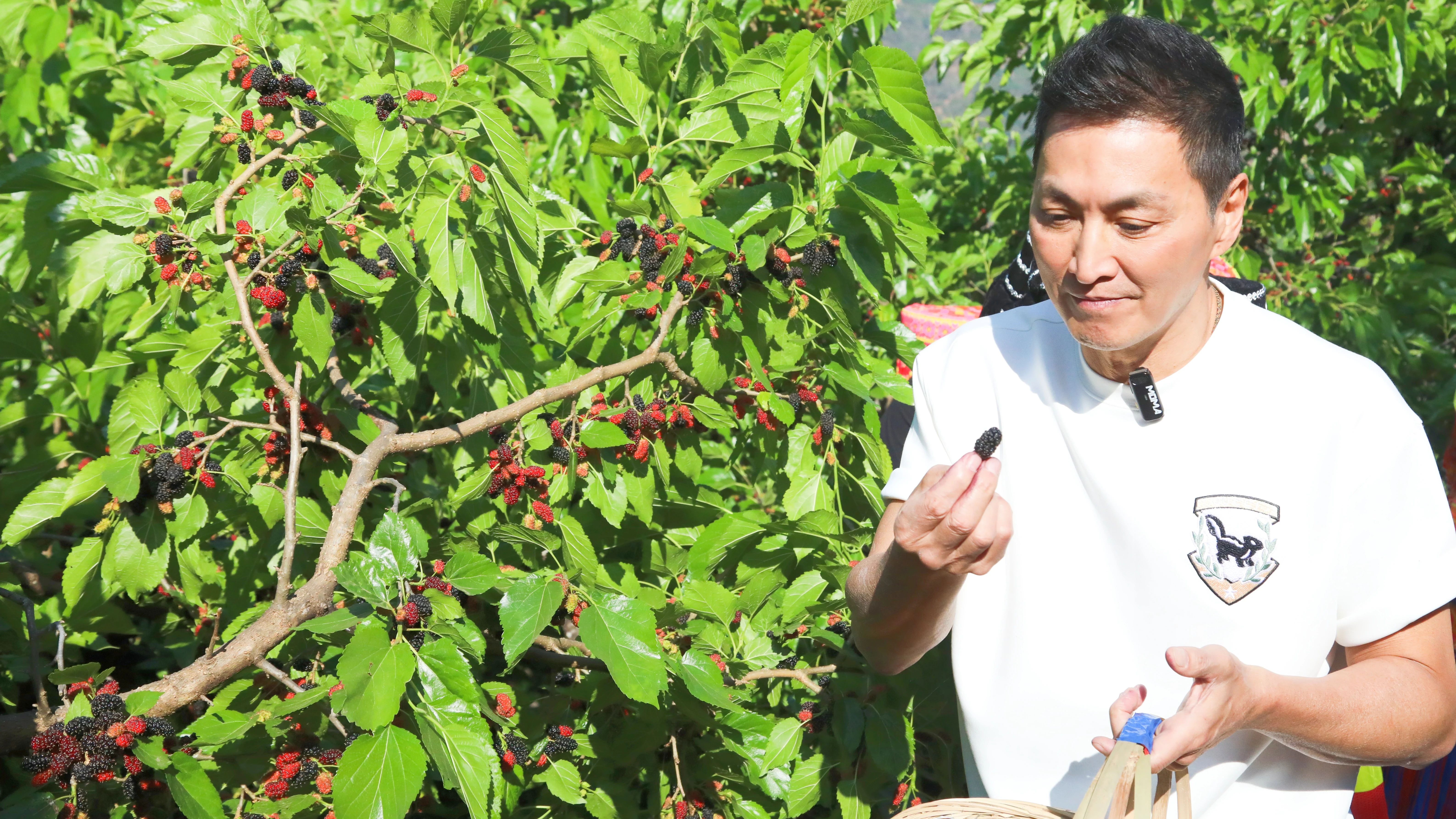 微信圖片_20250414100826