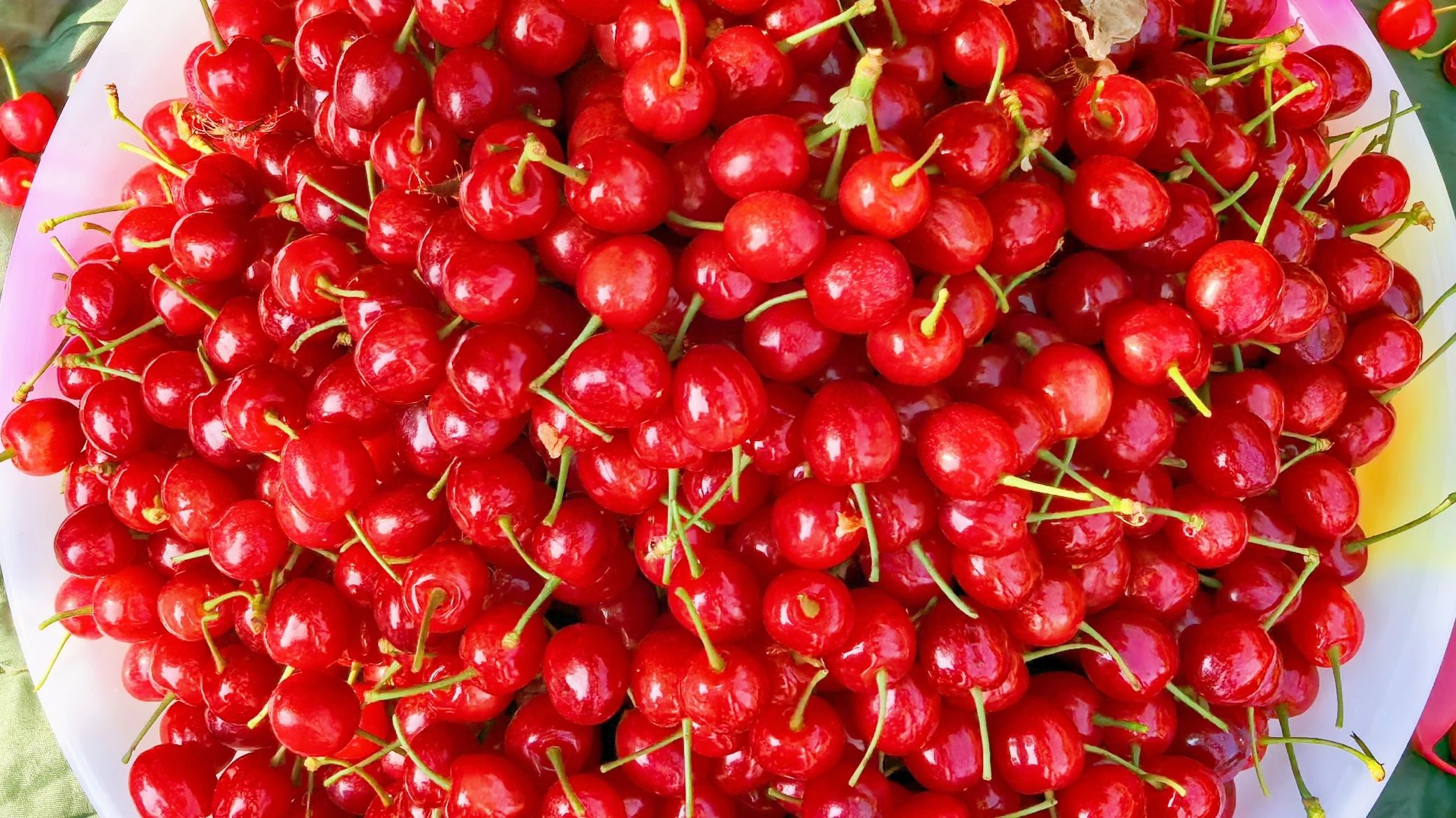 微信圖片_20250414101219