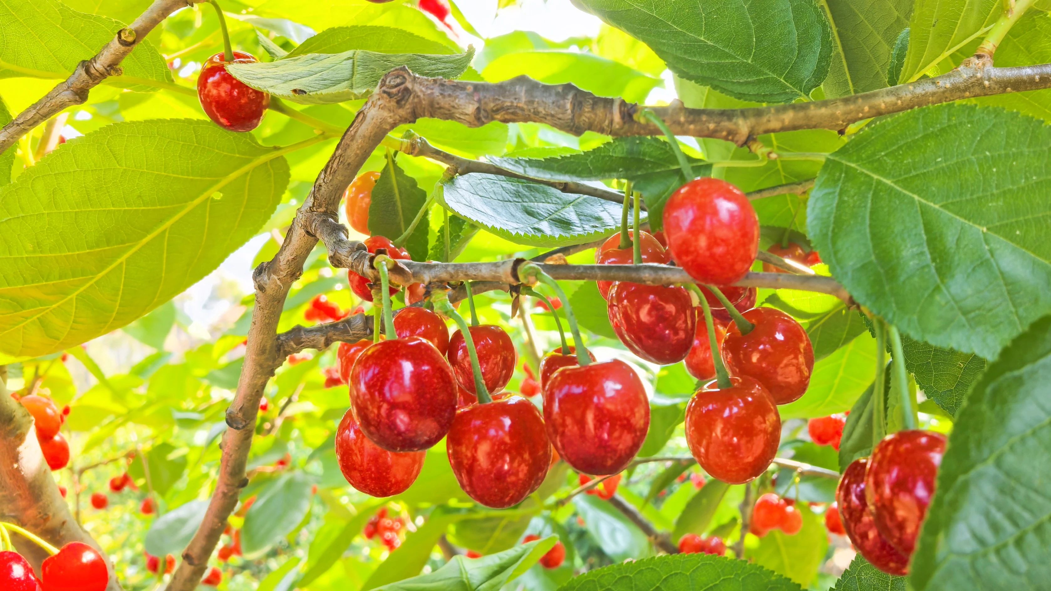 微信圖片_20250414101215